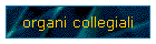 organi collegiali